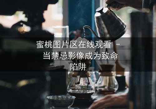 蜜桃图片区在线观看 - 当禁忌影像成为致命陷阱