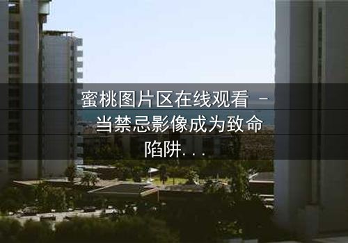 蜜桃图片区在线观看 - 当禁忌影像成为致命陷阱,你敢点开第3集吗?