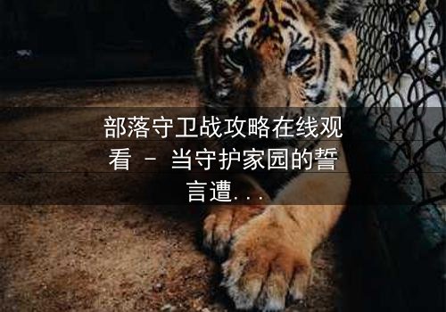 部落守卫战攻略在线观看 - 当守护家园的誓言遭遇背叛的利刃