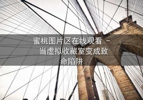 蜜桃图片区在线观看 - 当虚拟收藏室变成致命陷阱