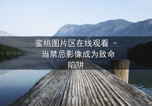 蜜桃图片区在线观看 - 当禁忌影像成为致命陷阱