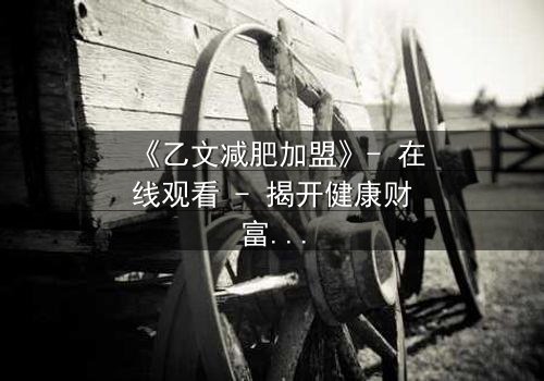 《乙文减肥加盟》- 在线观看 - 揭开健康财富背后的惊天秘密