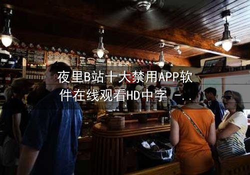 夜里B站十大禁用APP软件在线观看HD中字 - 揭秘那些被禁的深夜诱惑