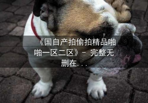 《国自产拍偷拍精品啪啪一区二区》- 完整无删在线观看 - 当秘密镜头揭开人性深渊