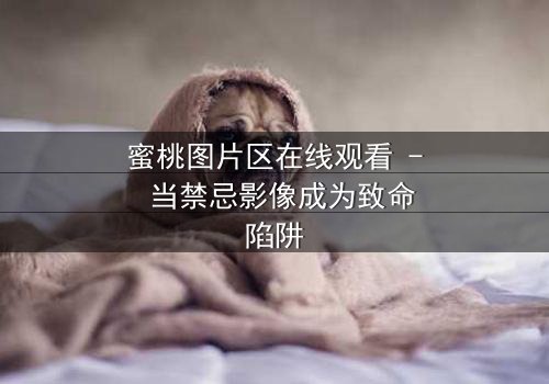 蜜桃图片区在线观看 - 当禁忌影像成为致命陷阱