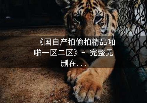 《国自产拍偷拍精品啪啪一区二区》- 完整无删在线观看 - 当镜头成为武器,谁在幕后操控一切?