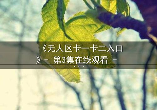 《无人区卡一卡二入口》- 第3集在线观看 - 揭开隐藏的生存密码,你敢点开吗?
