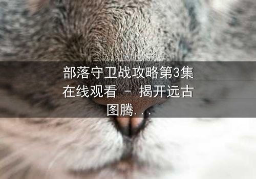 部落守卫战攻略第3集在线观看 - 揭开远古图腾背后的血腥真相