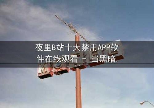 夜里B站十大禁用APP软件在线观看 - 当黑暗APP解锁禁忌之门,你敢点击吗?