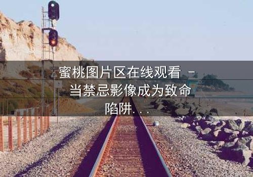 蜜桃图片区在线观看 - 当禁忌影像成为致命陷阱,你敢点开第3集吗?