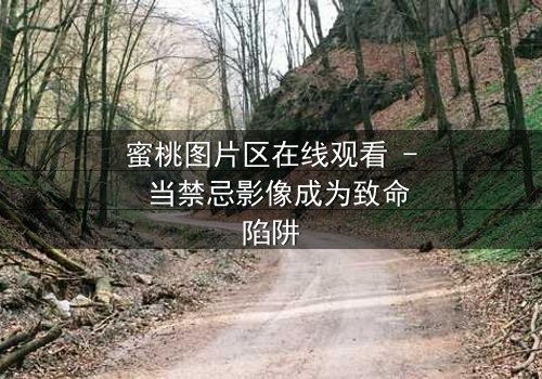 蜜桃图片区在线观看 - 当禁忌影像成为致命陷阱