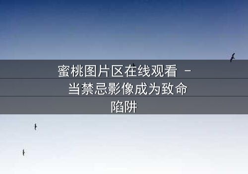 蜜桃图片区在线观看 - 当禁忌影像成为致命陷阱