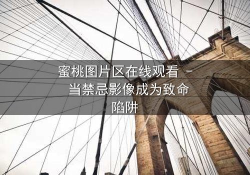 蜜桃图片区在线观看 - 当禁忌影像成为致命陷阱