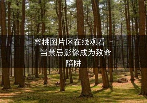 蜜桃图片区在线观看 - 当禁忌影像成为致命陷阱