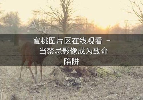 蜜桃图片区在线观看 - 当禁忌影像成为致命陷阱