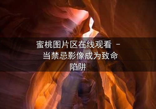 蜜桃图片区在线观看 - 当禁忌影像成为致命陷阱