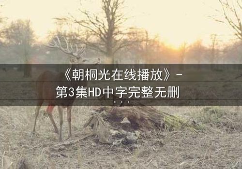 《朝桐光在线播放》- 第3集HD中字完整无删 - 揭开她隐藏的黑暗秘密