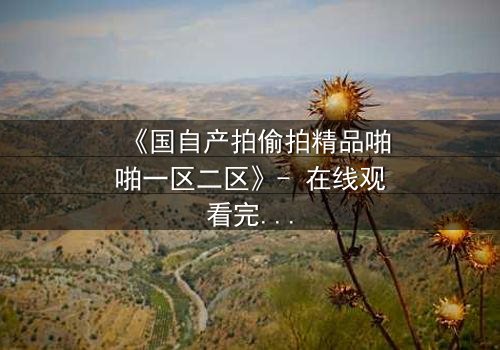 《国自产拍偷拍精品啪啪一区二区》- 在线观看完整无删 - 当镜头背后的秘密被揭开,谁将付出代价?