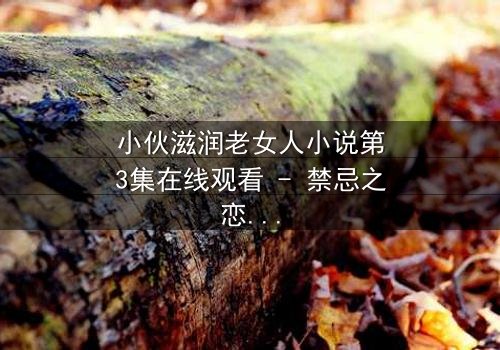小伙滋润老女人小说第3集在线观看 - 禁忌之恋如何颠覆人生?