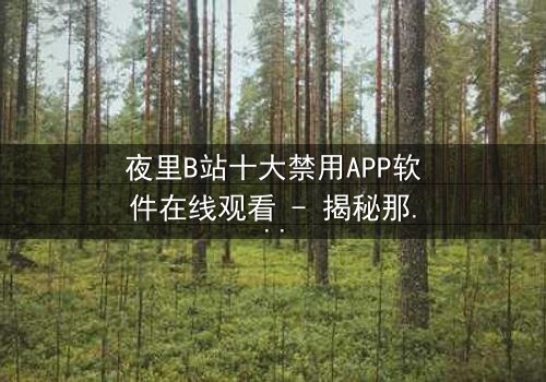 夜里B站十大禁用APP软件在线观看 - 揭秘那些被禁的黑暗工具,你敢尝试吗?