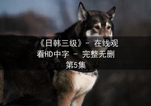 《日韩三级》- 在线观看HD中字 - 完整无删第5集