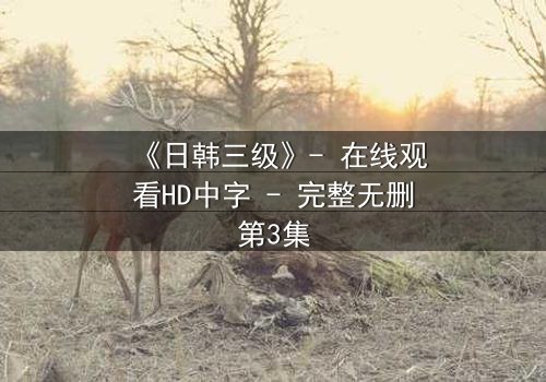 《日韩三级》- 在线观看HD中字 - 完整无删第3集