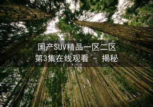 国产SUV精品一区二区第3集在线观看 - 揭秘家族恩怨背后的惊天秘密