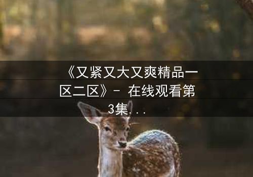 《又紧又大又爽精品一区二区》- 在线观看第3集 - 揭开人性最隐秘的欲望深渊