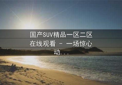 国产SUV精品一区二区在线观看 - 一场惊心动魄的都市追逐战