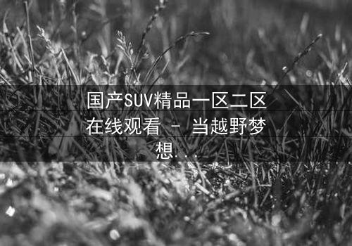 国产SUV精品一区二区在线观看 - 当越野梦想撞上家族恩怨,谁将主宰命运?