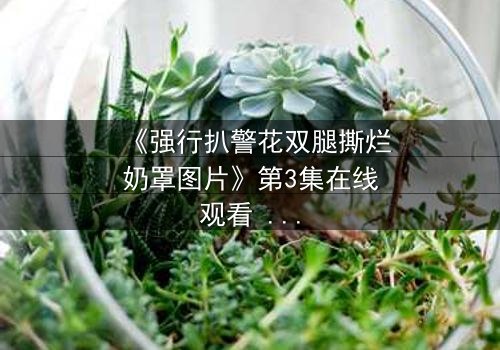 《强行扒警花双腿撕烂奶罩图片》第3集在线观看 - 真相背后,谁在操控一切?