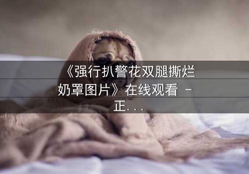 《强行扒警花双腿撕烂奶罩图片》在线观看 - 正义与黑暗的终极对决